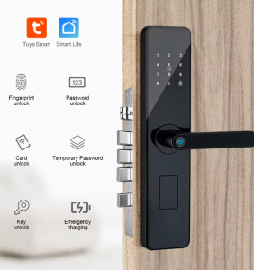 TAM-DL-SECURA Digital Biometric Residential Wooden Door Lock Digital Biometric Residential Wooden Door Lock
